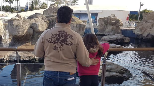 «Mi hija no puede ir de excursión escolar porque su padre habla en castellano»