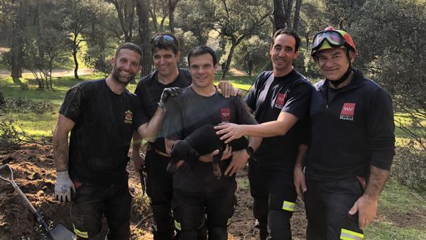 En vídeo: el rescate de una perrita teckel atrapada en una madriguera