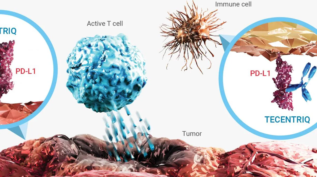 Imagen figurada de los efectos del virus en el tumor