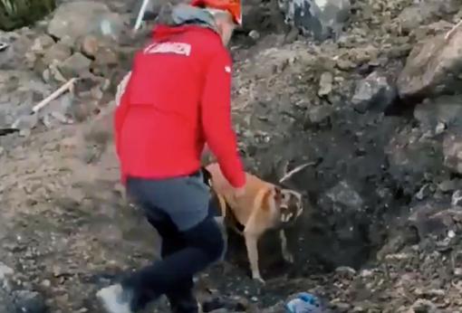 Reanudan la búsqueda de los dos hombres sepultados en una ladera de Vizcaya