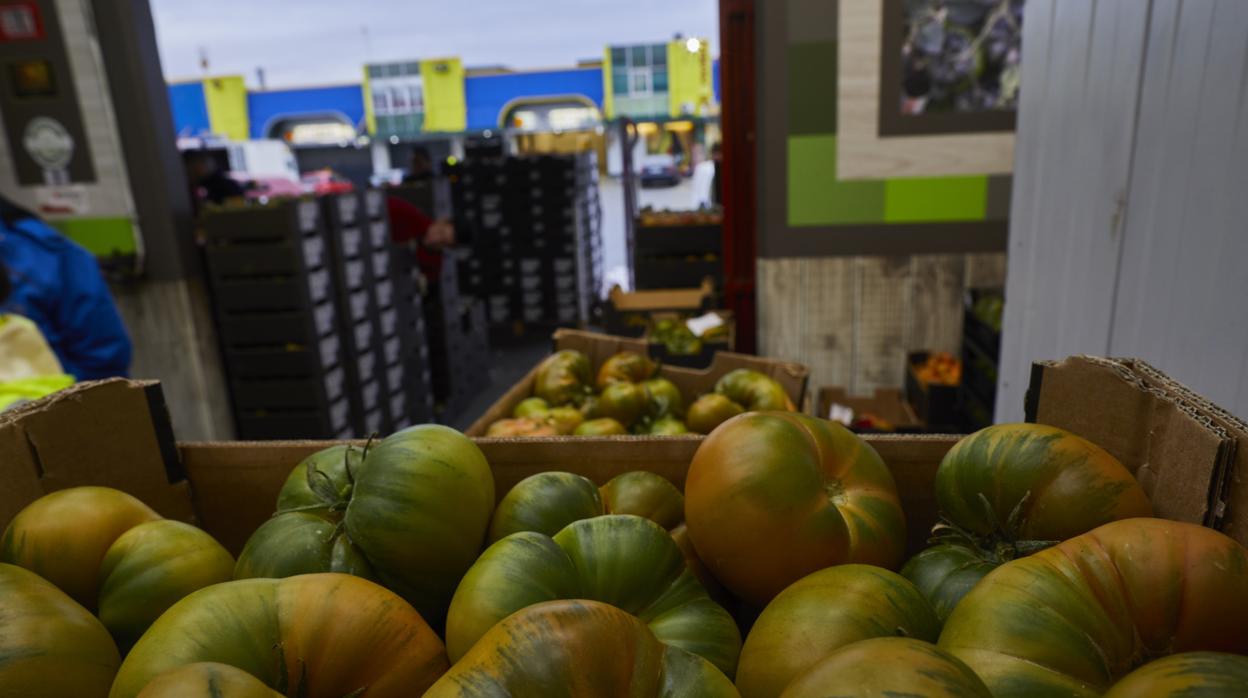 Puesto de verduras en Mercamadrid