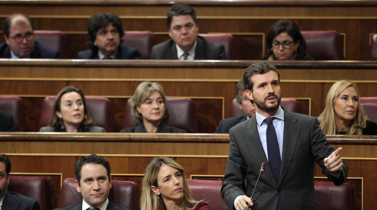 Pablo Casado, en el Congreso