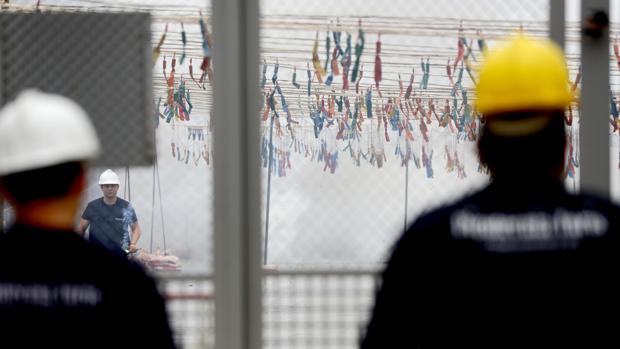 Fallas 2020: qué hacer para ver la mascletà desde el balcón del Ayuntamiento de Valencia