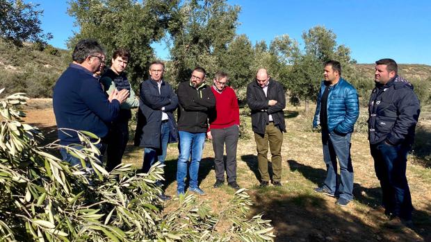 El PP aragonés pide ayudas directas y rebajas de impuestos para agricultores y ganaderos