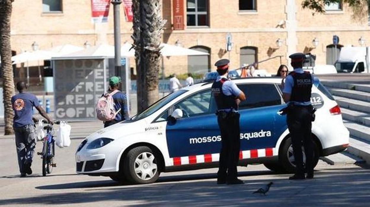 De los 14 detenidos por los Mossos d'Esquadra, 12 son de nacionalidad española, uno es colombiano y uno es marroquí