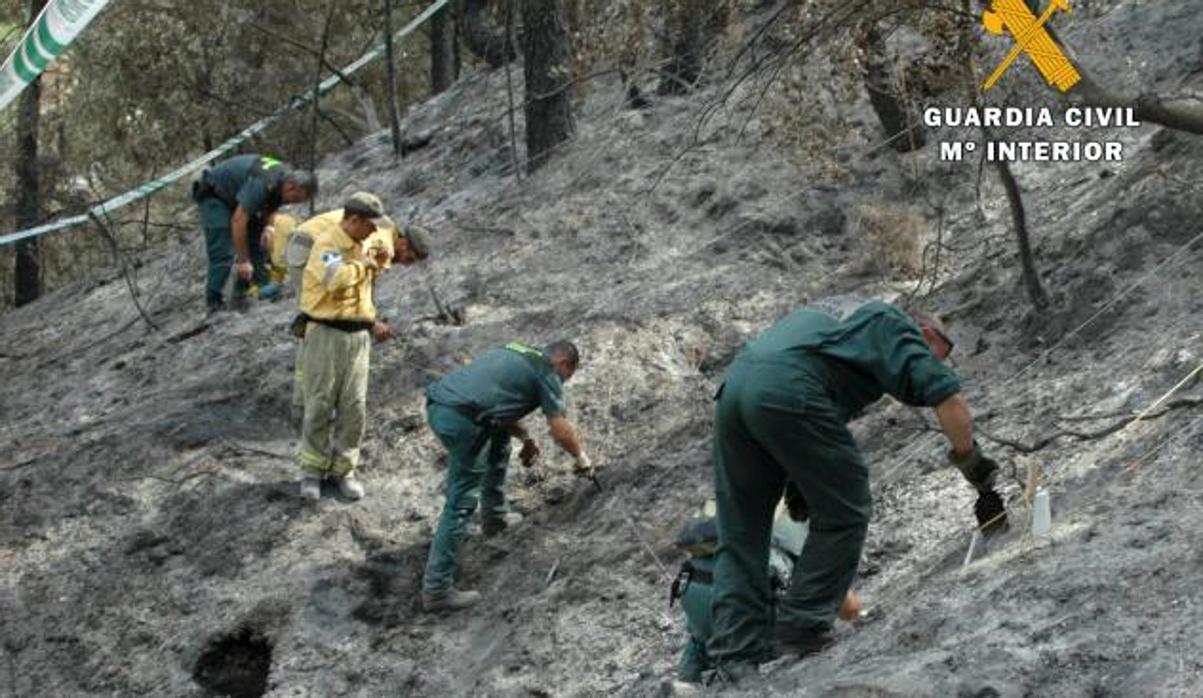 Bomberos y agentes del Eprona, durante la extinción del incendio