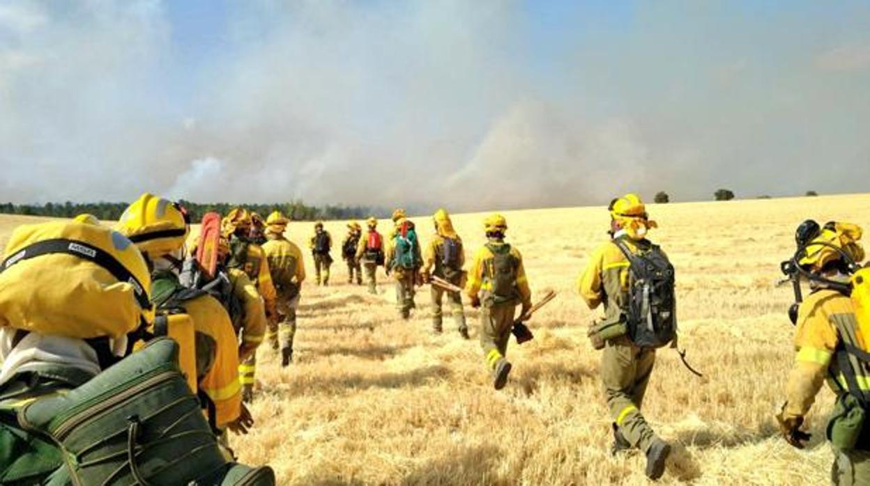 Un gran números de bomberos de los que trabajaron en la extinción del incendio de Barchín del Hoyo (Cuenca)