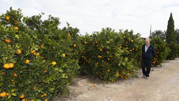 «Estamos desesperados»: los agricultores pedirán soluciones al Gobierno con una tractorada