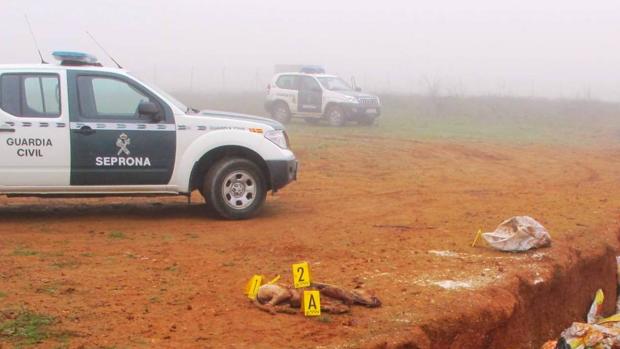 Investigado un hombre por abatir a su perro y dejar el cadáver abandonado en una zanja de Benavente