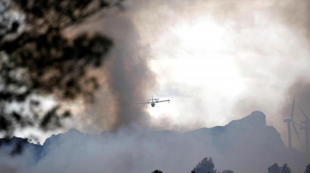 Incendio en El Perelló en junio de 2019