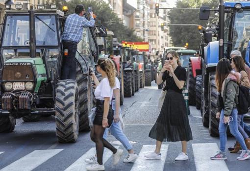 Manifestación de agricultores con tractores en el centro de Valencia, este viernes