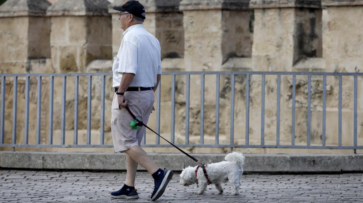 Imagen de archivo de un hombre paseando con su mascota