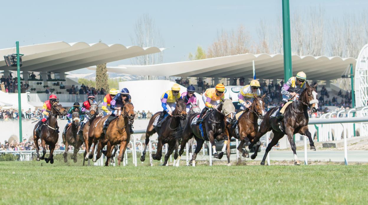 El espectáculo de las carreras de caballos vuelve este domingo a La Zarzuela