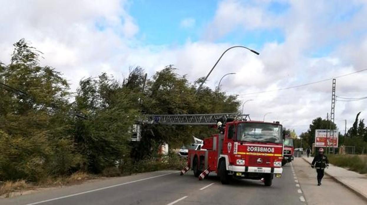 Los bomeros intervienen en Albacete tras la caída de un árbol