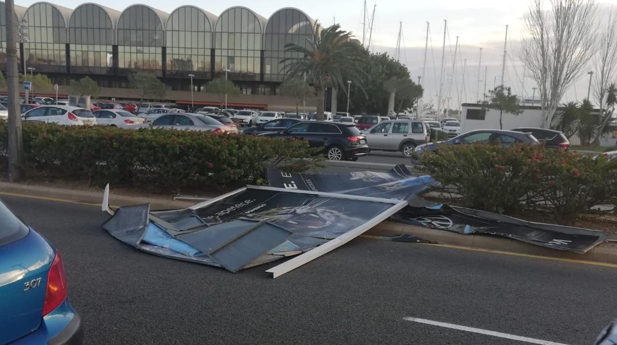 Imagen de los efectos del viento en la ciudad de Valencia