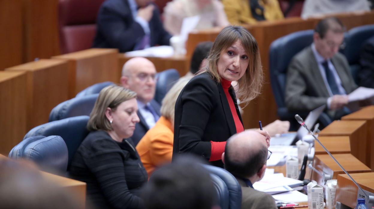 La consejera Rocío Lucas, durante una intervención en el pleno de las Cortes de ayer