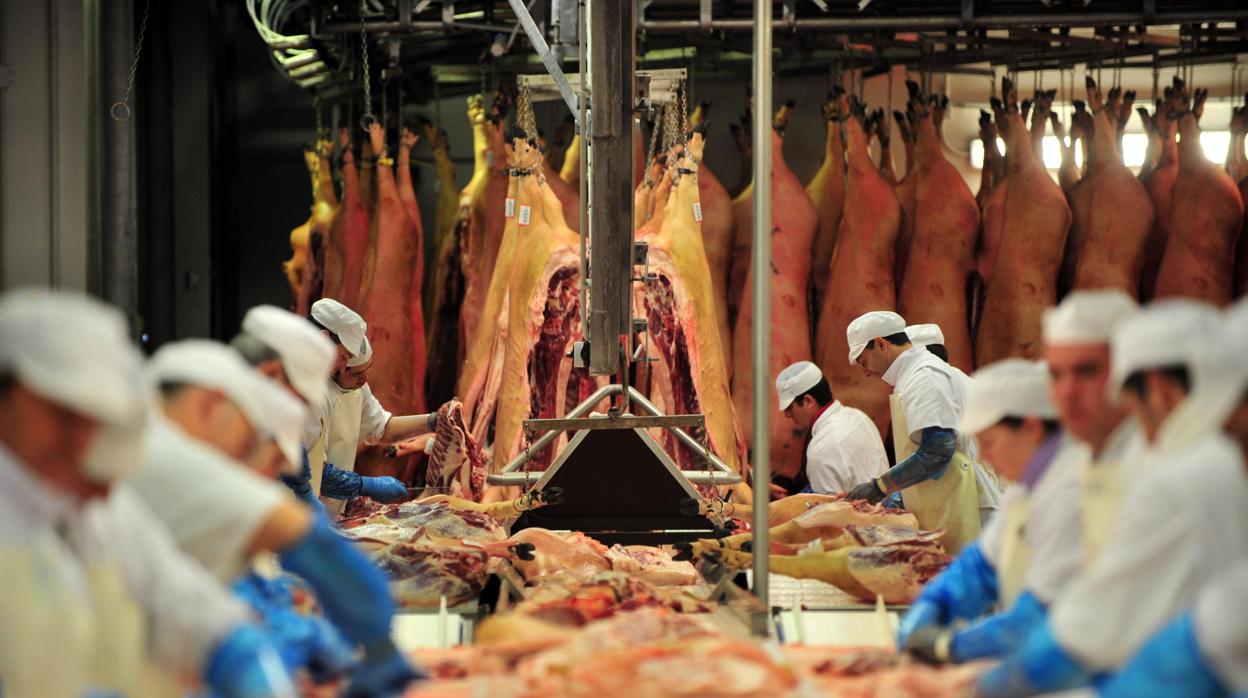 Trabajadores en una sala de despiece de una de las empresas dedicada a la producción de carne de cerdo