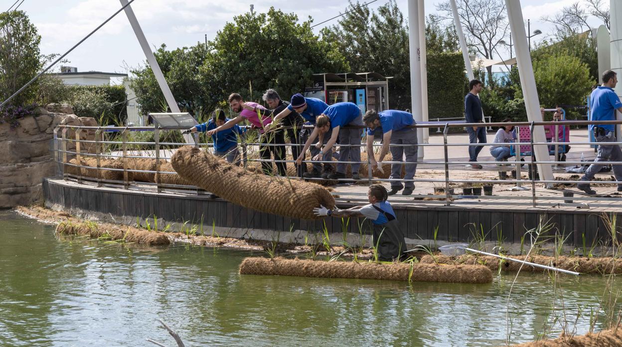 Imagen de la iniciativa desarrollada por el Oceanogràfic