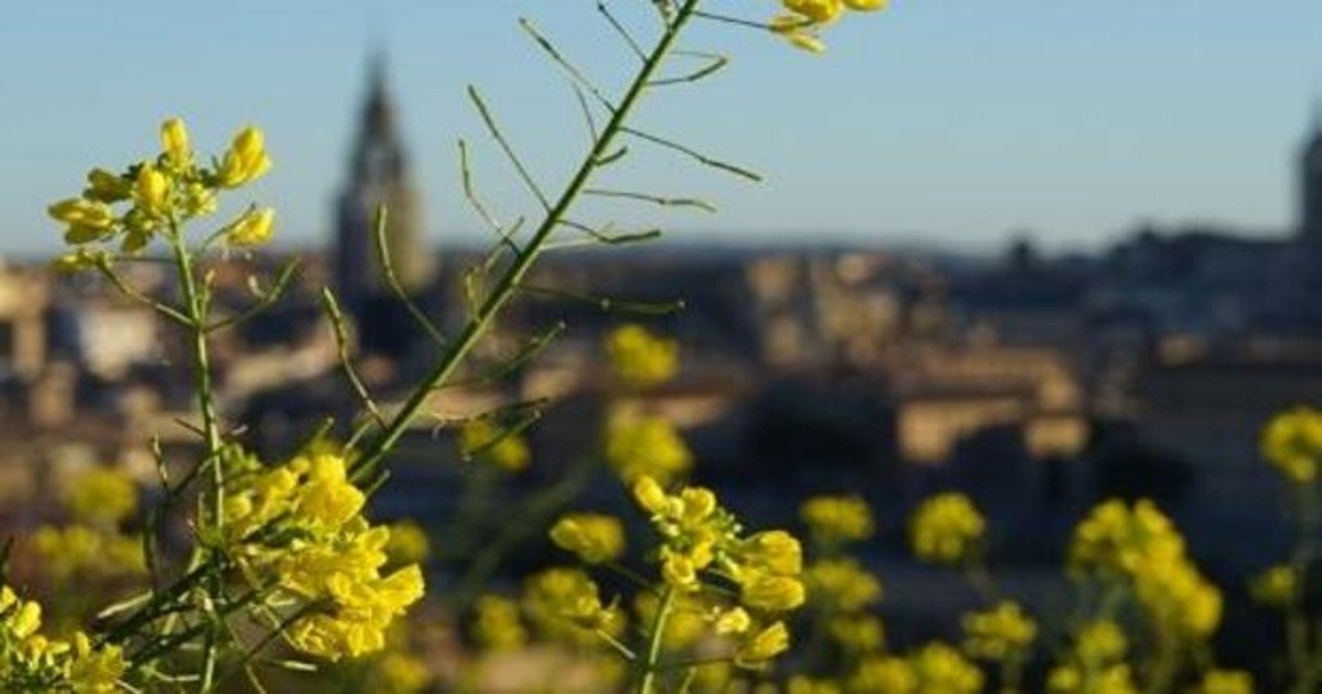 José Ramiro Viso : «Coronovirulencia», una primavera bajo sospecha