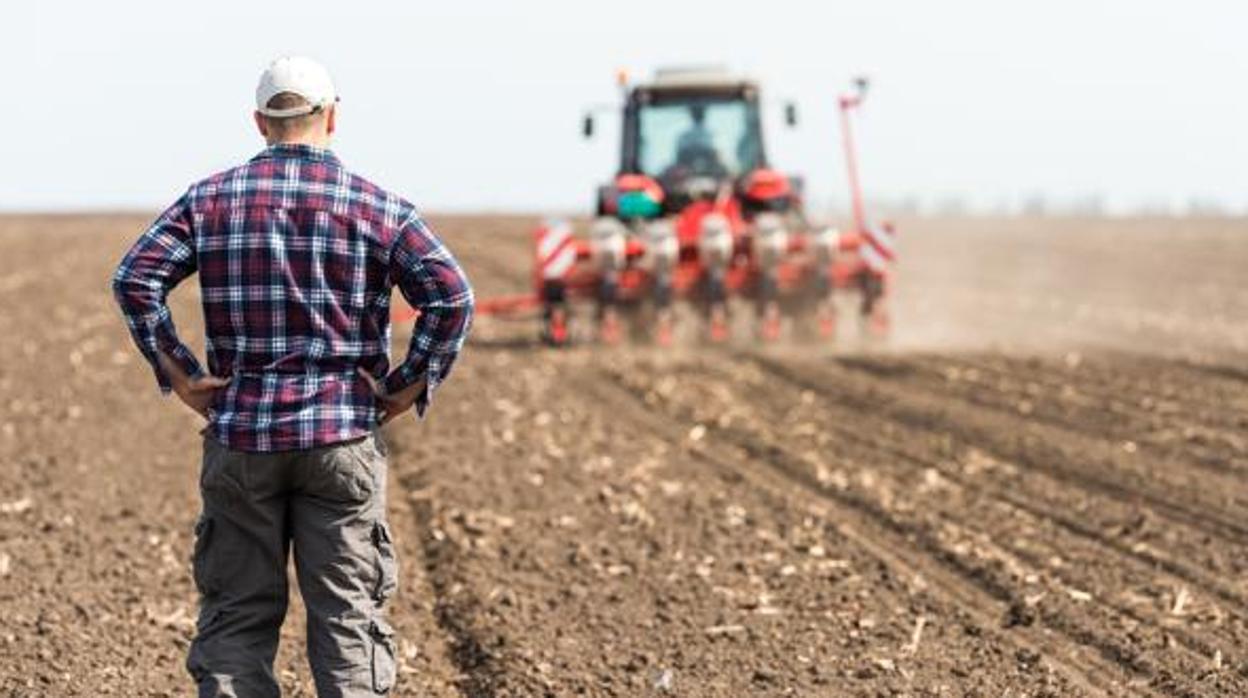 Imagen de archivo de un agricultor controlando su campo de trabajo