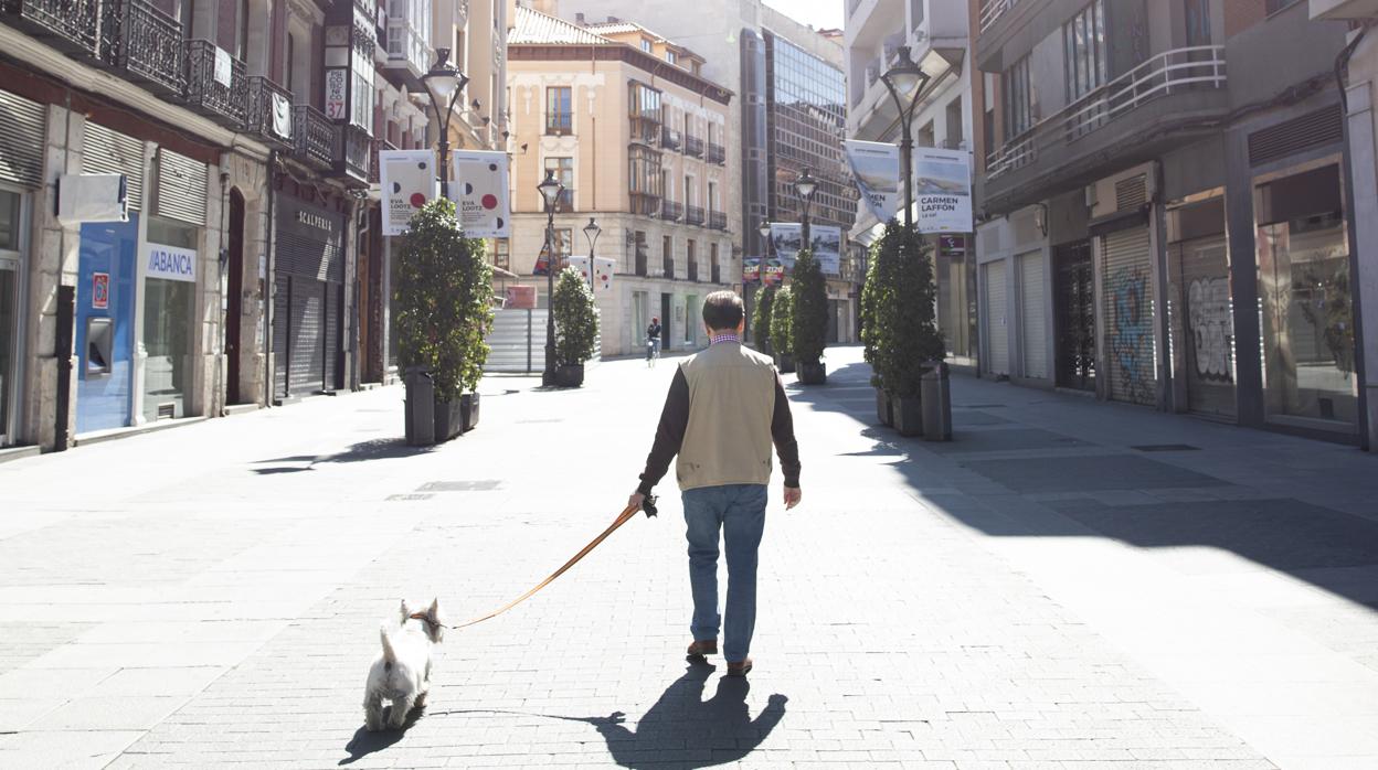 Una de las calles de Valladolid durante la cuarentena por el coronavirus