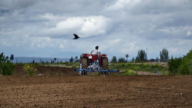 Los agricultores, a pie de campo contra el coronavirus