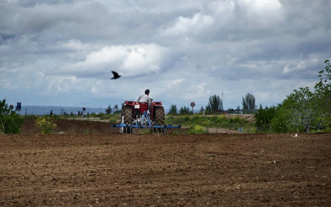 Un agricultor trabaja una de las numerosas explotaciones agrícolas de Castilla-La Mancha