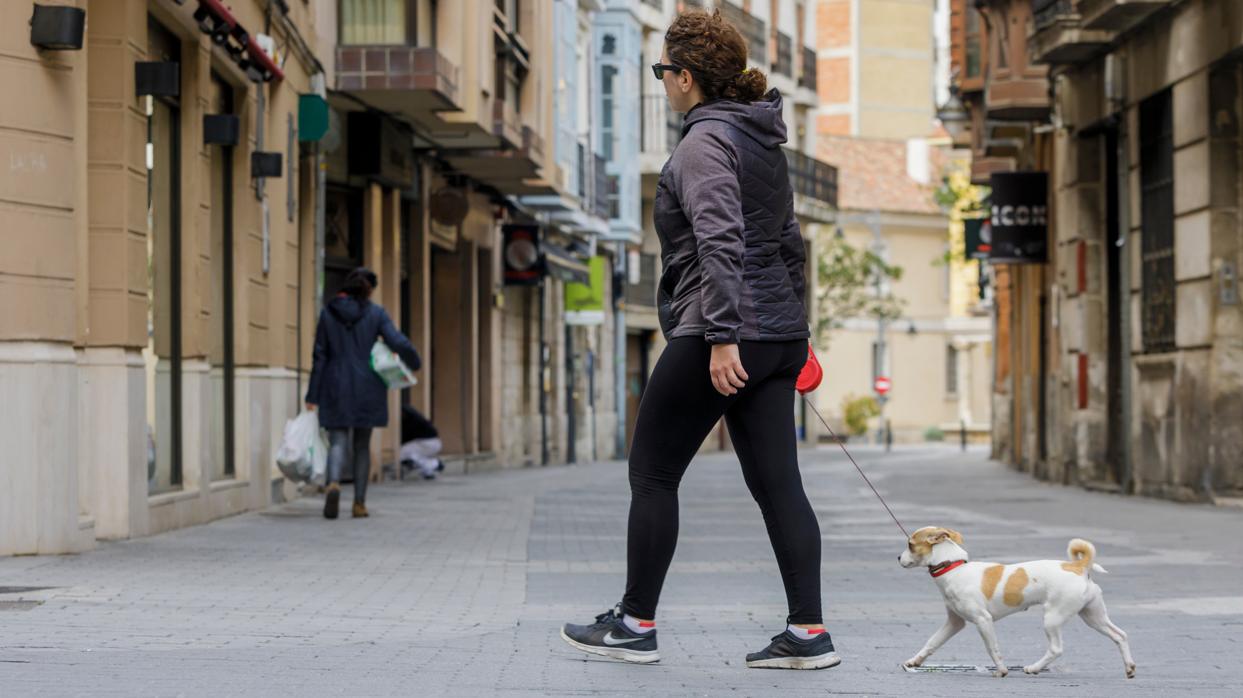 Una mujer pasea a su perro por las calles de Valladolid