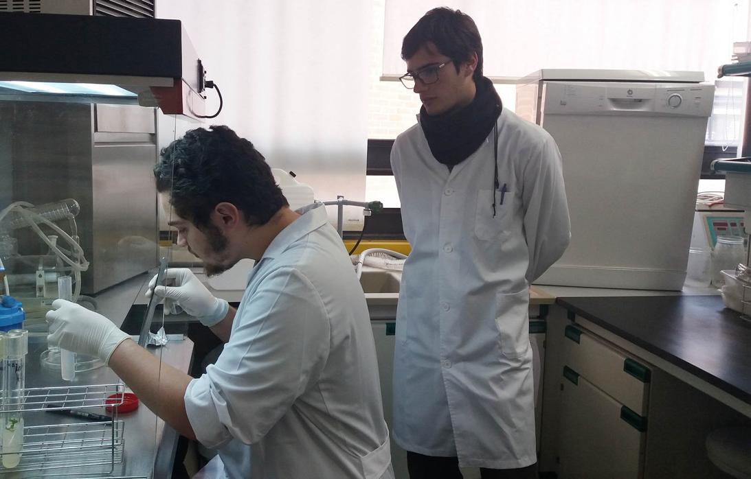 Investigadores de la Universidad de Casilla-La Mancha en Albacete