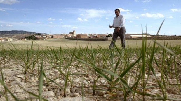 Agricultores y ganaderos de Castilla-La Mancha reciben 11,5 millones de ayudas de la PAC