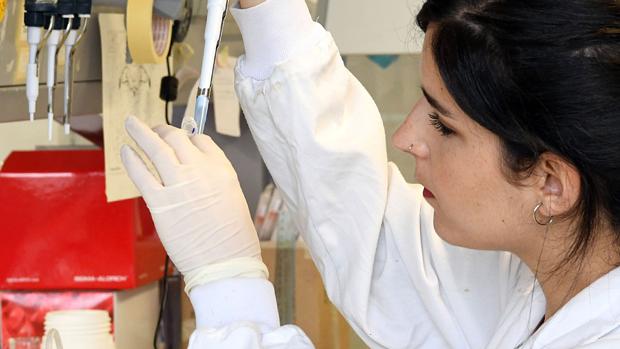 Investigadores gallegos entran en la carrera para conseguir la vacuna del coronavirus