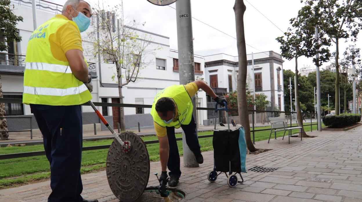 Santa Cruz inicia una acción contra la proliferación de ratas en el centro de la ciudad