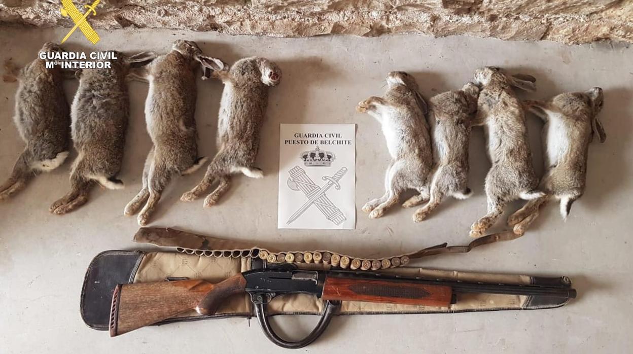 Escopeta, munición y conejos abatidos por el agricultor denunciado