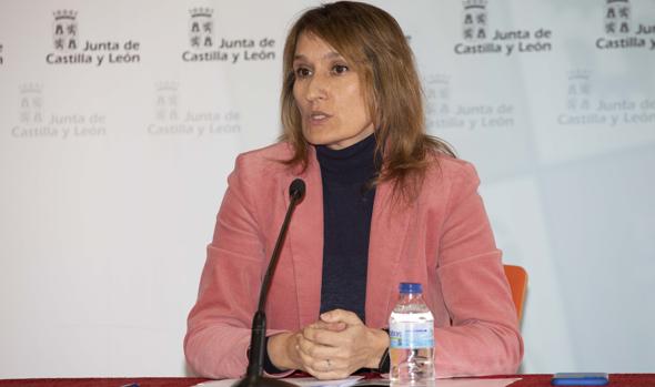 Castilla y León apoya al Gobierno en que la repetición de curso sea «la excepción»