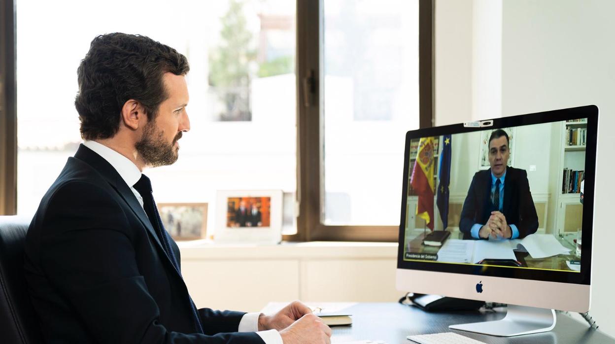 Pablo Casado, durante la videoconferencia que ha mantenido hoy con Pedro Sánchez