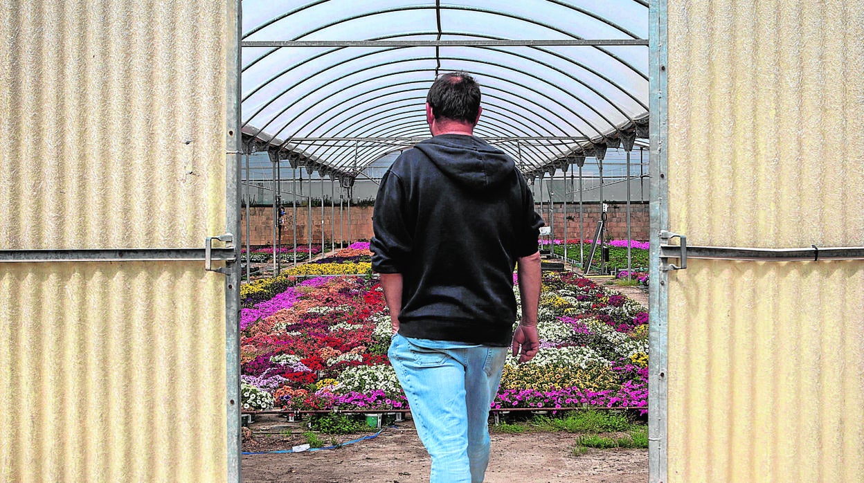 Una imagen reciente de un vivero en Vilassar de Mar