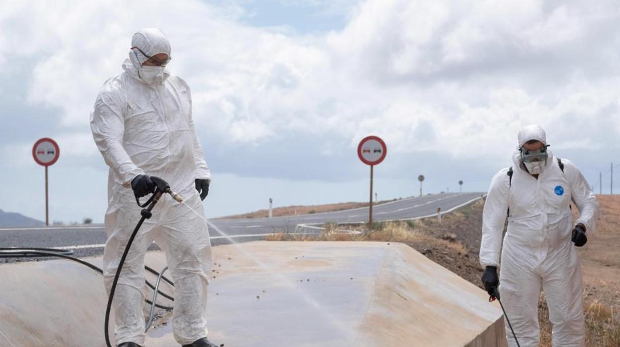 Servicios de desintoxicación en Fuerteventura