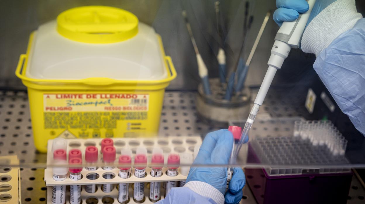 Imagen de muestras esperando a ser analizadas en un hospital