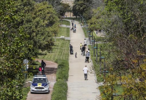 Imagen tomada este domingo en el jardín del Turia en Valencia