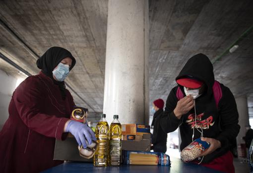 Darwin guarda la comida que le entrega una de las voluntarias