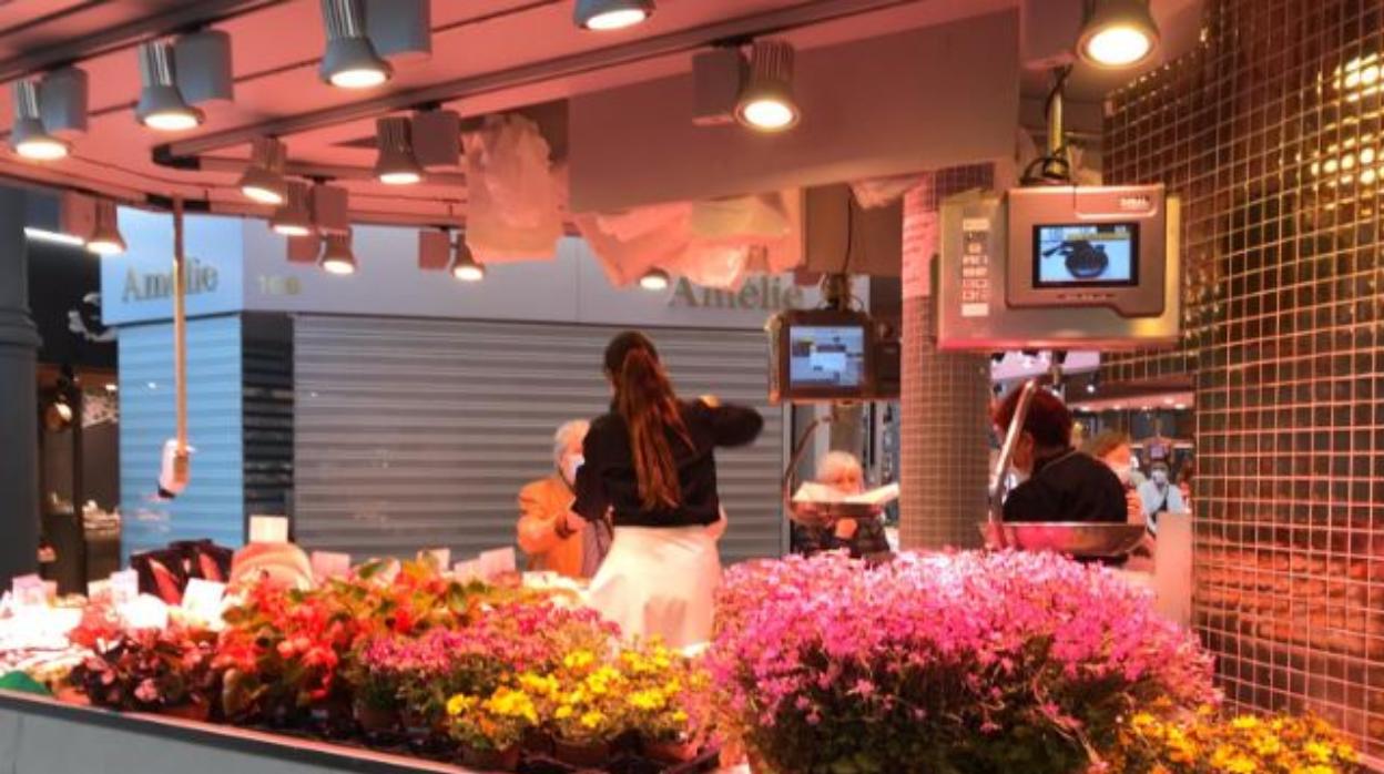 Flores listas para repartir en un mercado municipal