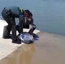 Agentes de la Guardia Civil liberando las angulas