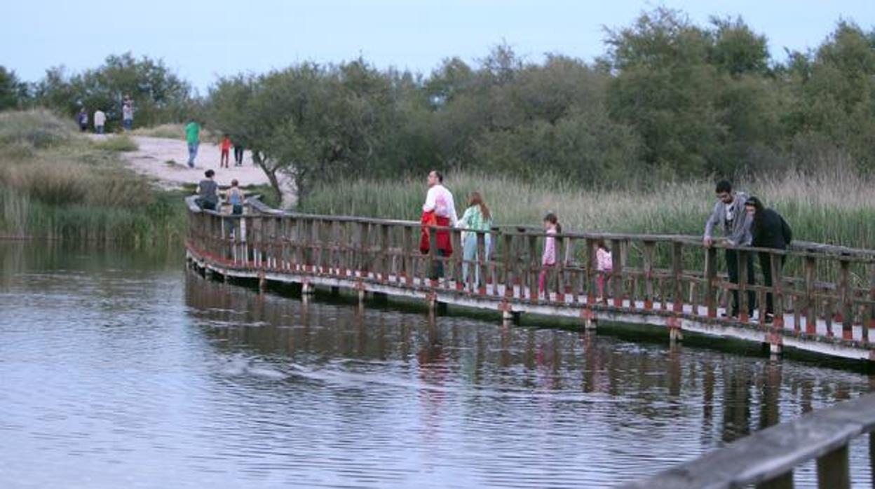 Turistas, durante su visita a las Tablas de Daimiel