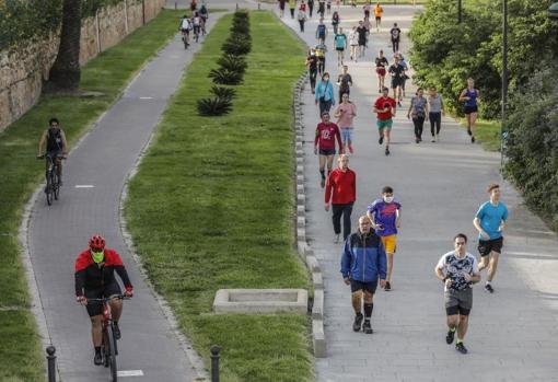 Corredores y ciclistas en el antiguo cauce del Turia en Valencia, este domingo