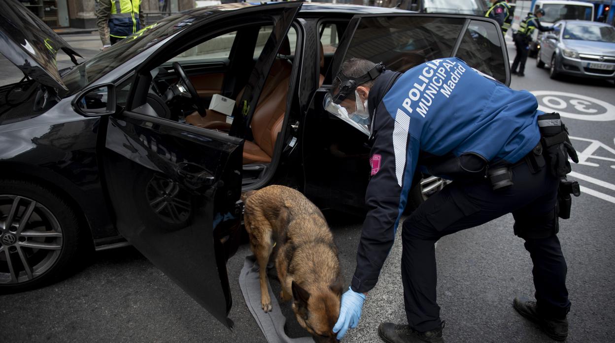 Control de la Policía Municipal en la Gran Vía