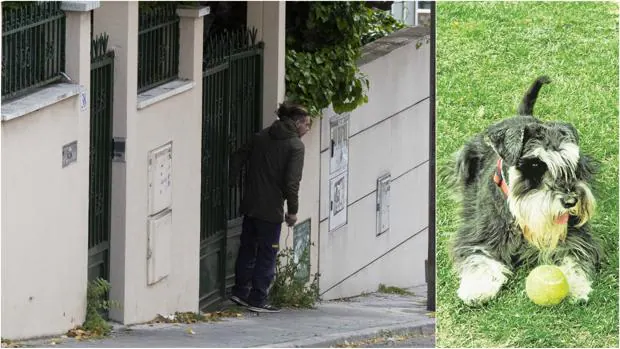 Un chalé okupa atemoriza a los vecinos de Arturo Soria: «Su perro salió y mató a la pequeña Yoda»