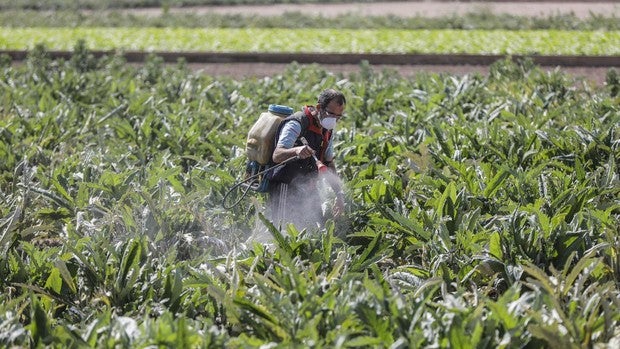 Los agricultores alertan de daños y robos en los campos durante los paseos de la desescalada del confinamiento