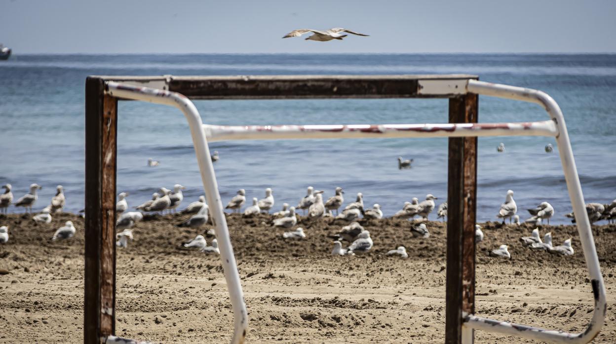 Imagen de la playa del Postiguet de Alicante