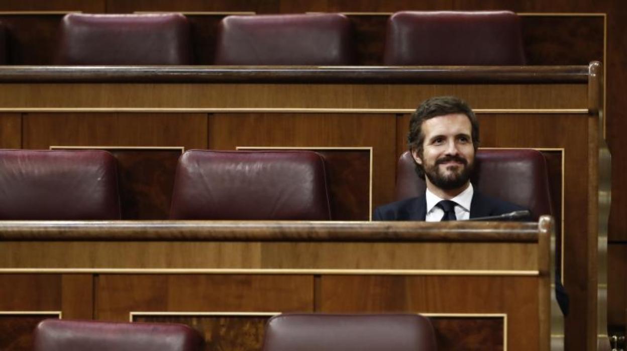 Pablo Casado, en el Congreso de los Diputados