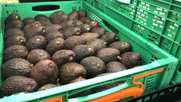 Mercadona compra 7,1 toneladas de aguacates a productores españoles, un treinta por ciento más